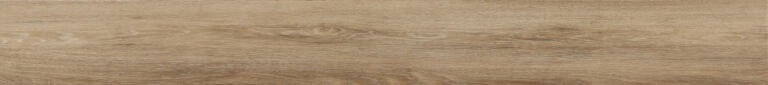 Forest Pine